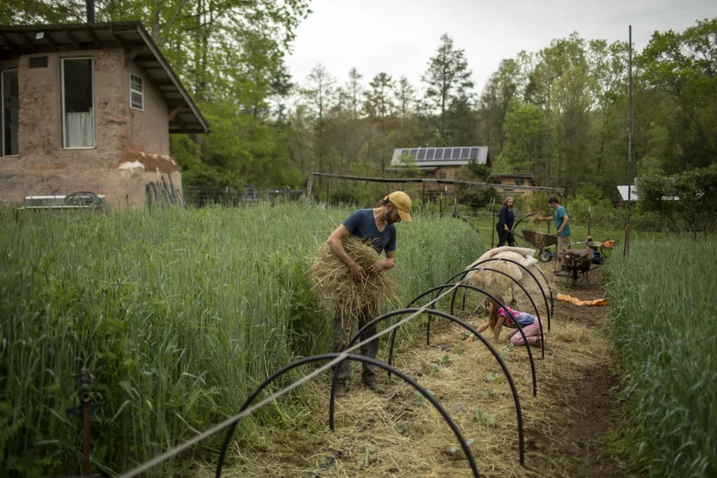 Earthaven Ecovillage
