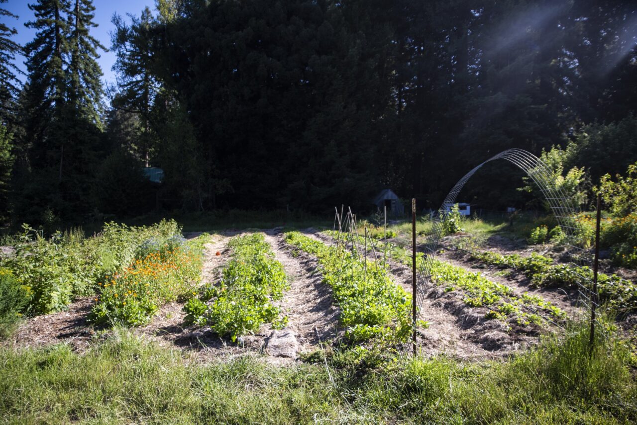 Community Homesteading 20 Homesteading Community Locations in the U.S.